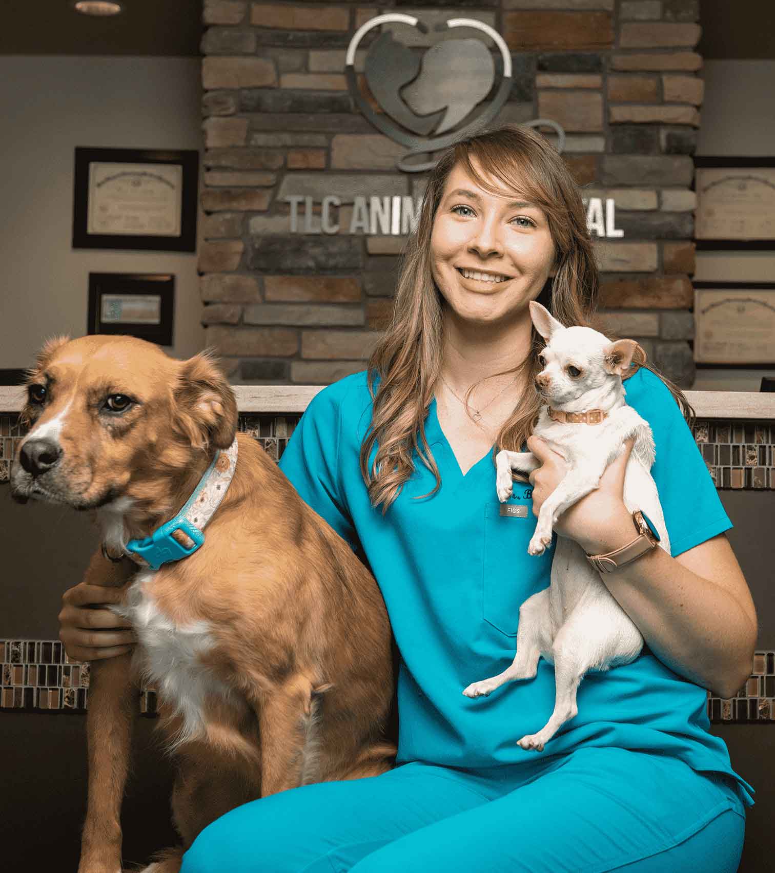 Dr. Brenda Castorena, DVM