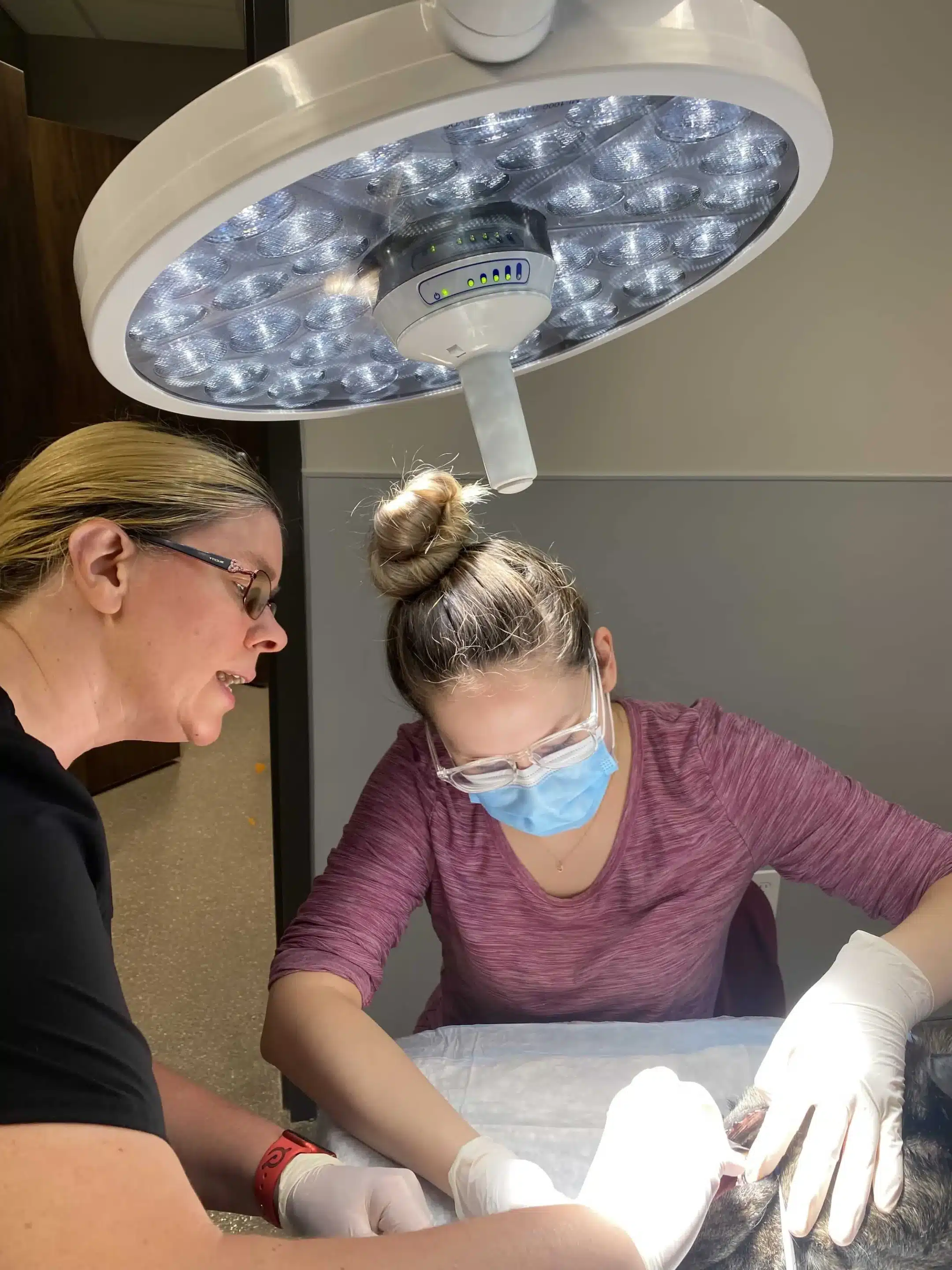 2023-bannon-02-min.jpg Veterinary Student Externships