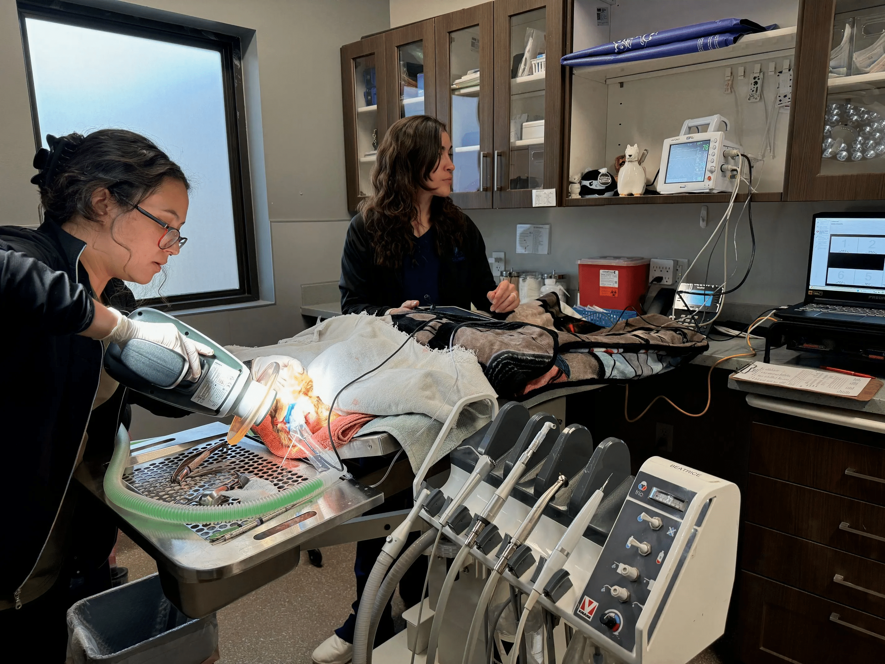 Digital Dental Radiography
