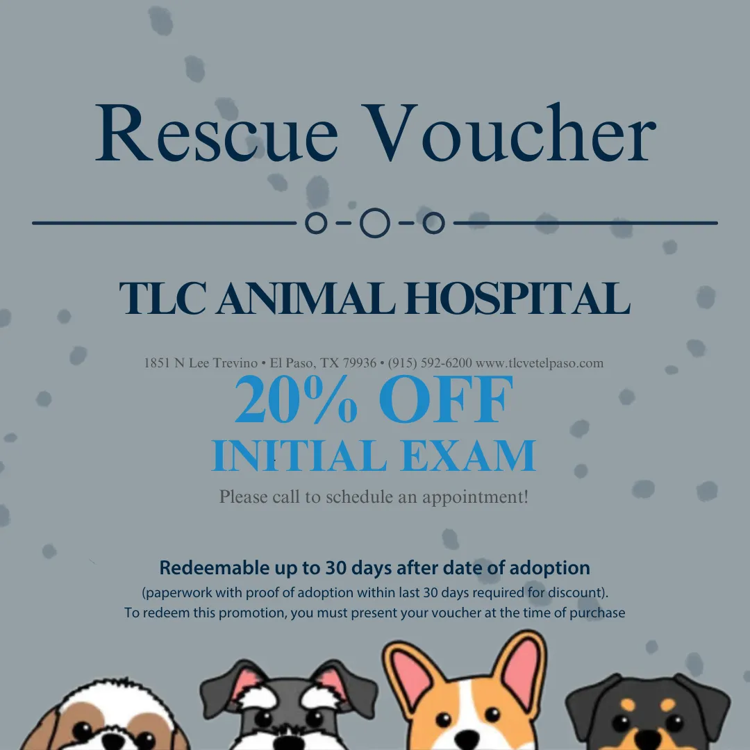 Specials & Discounts 3 Specials & Discounts