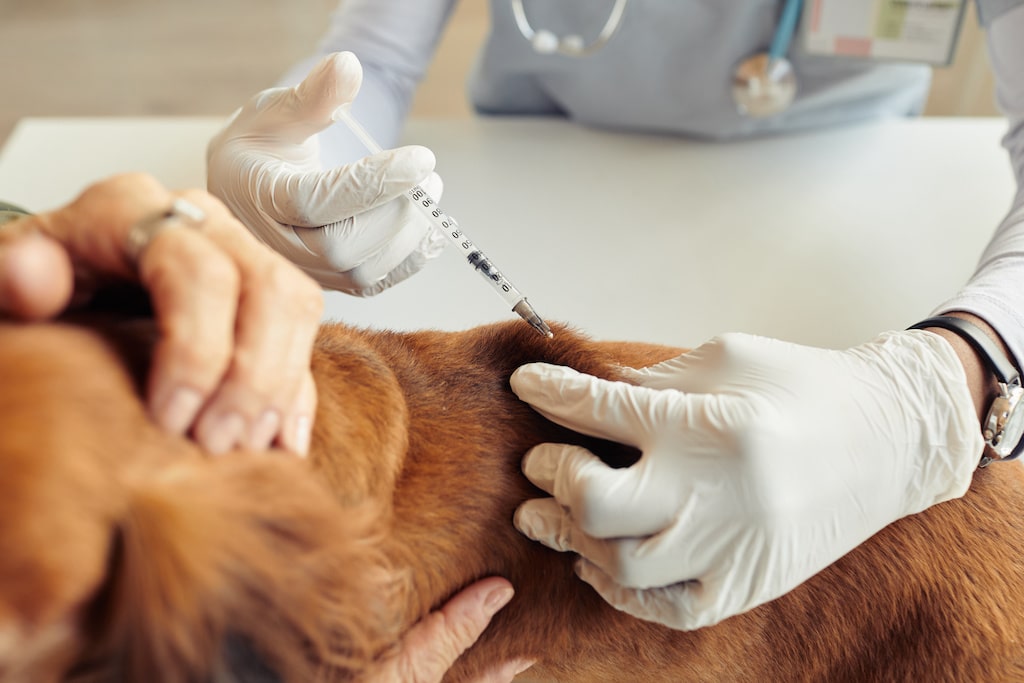 PRP Injections