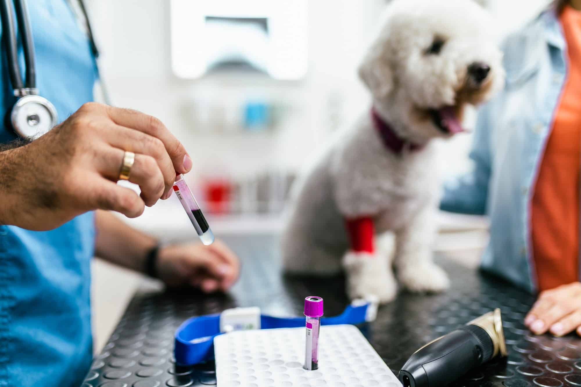 Laboratory Services