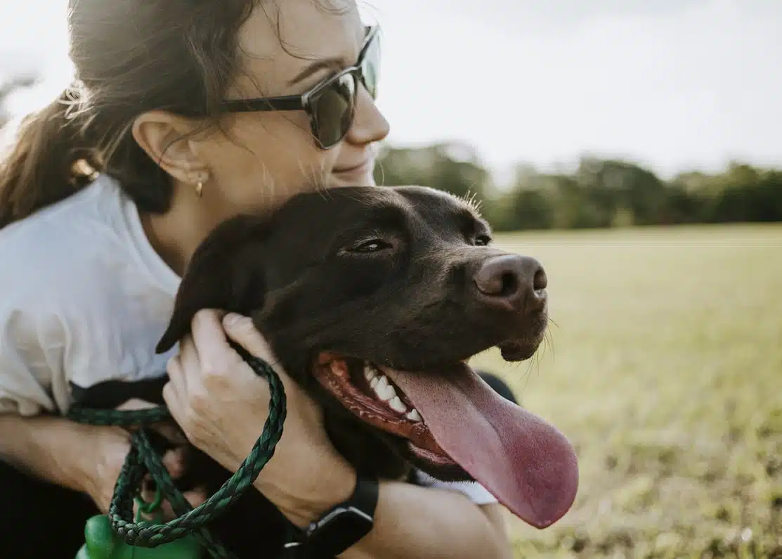 pet nicer Microchipping