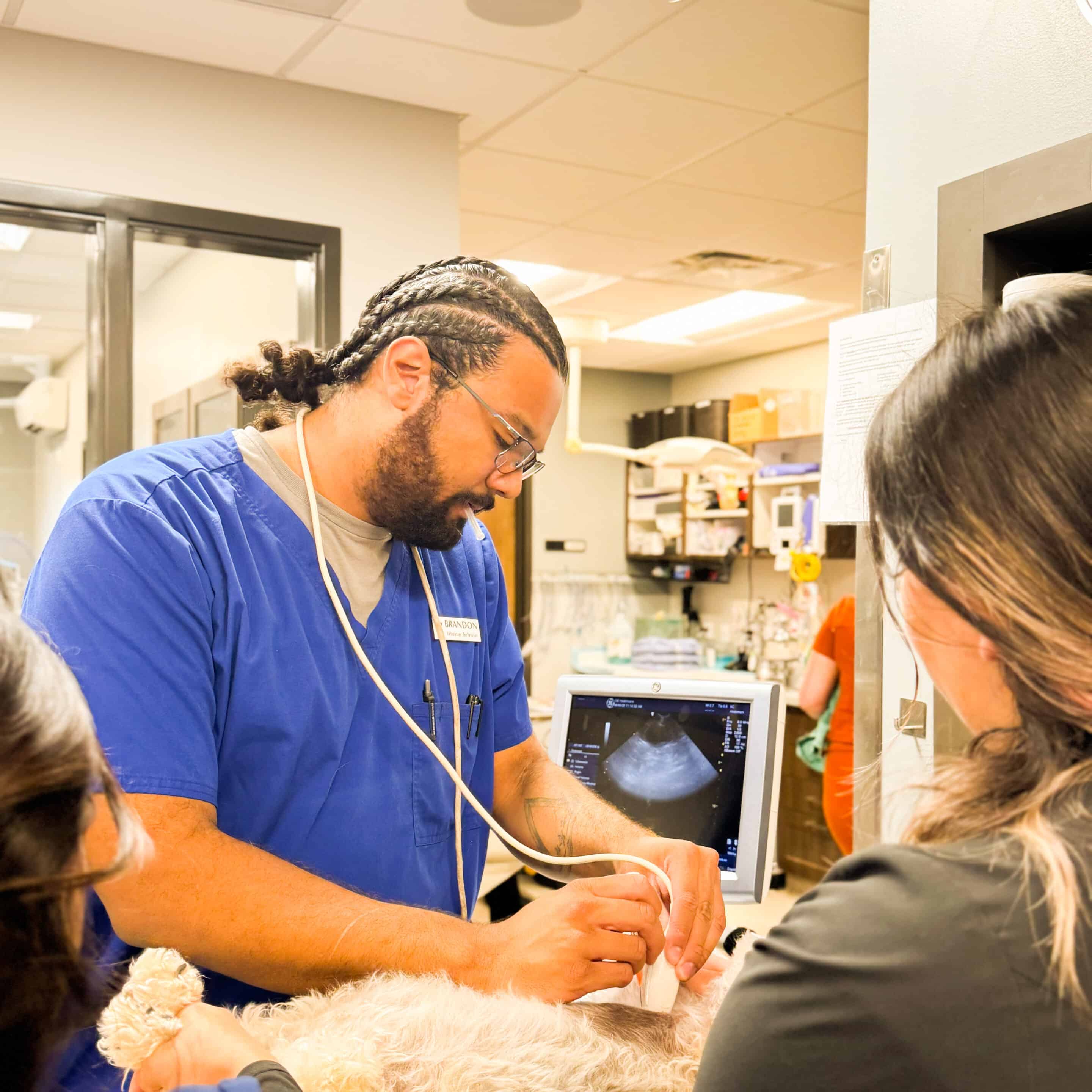Digital Ultrasound