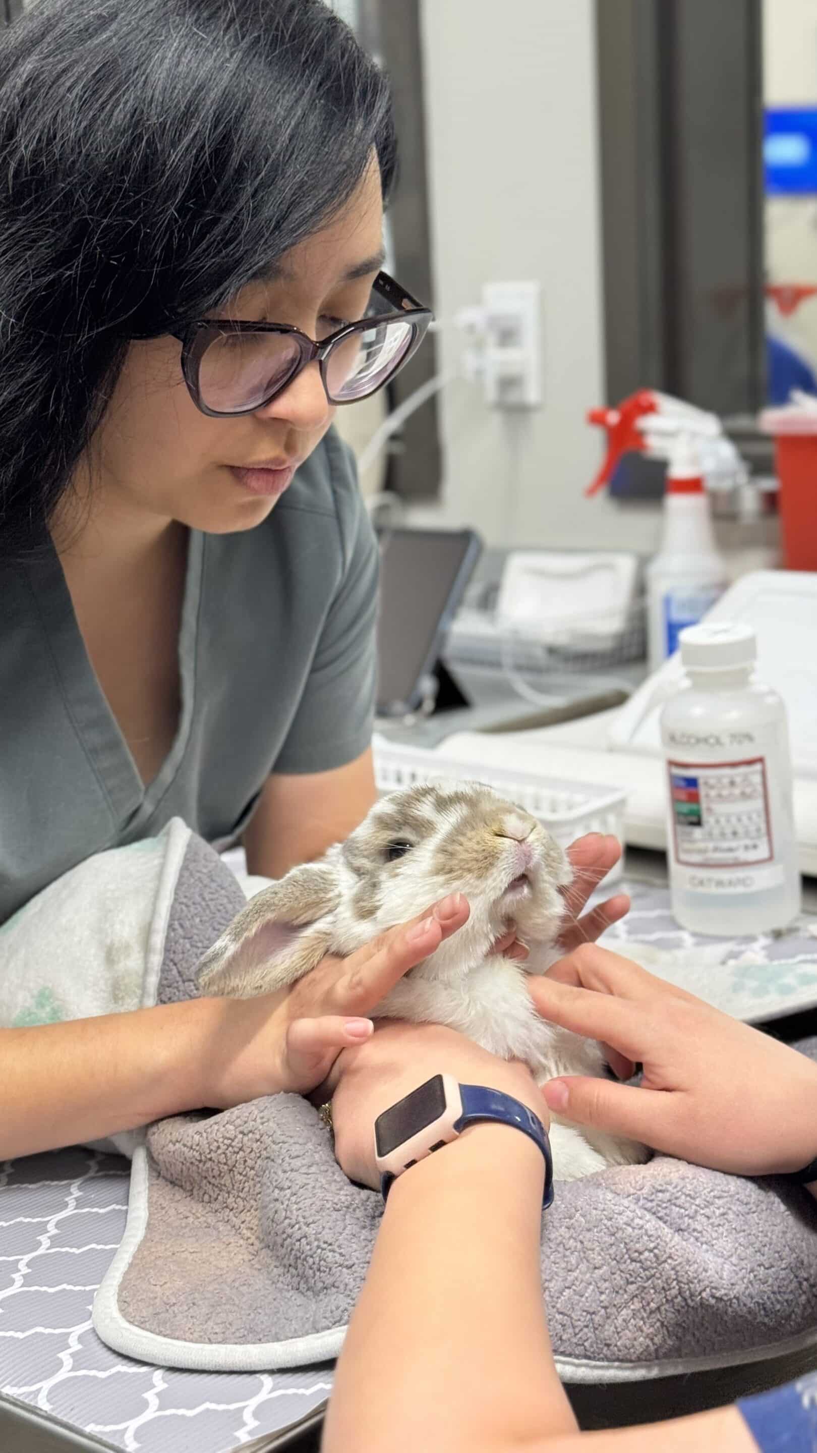 Rabbit Vaccines (RHDV)