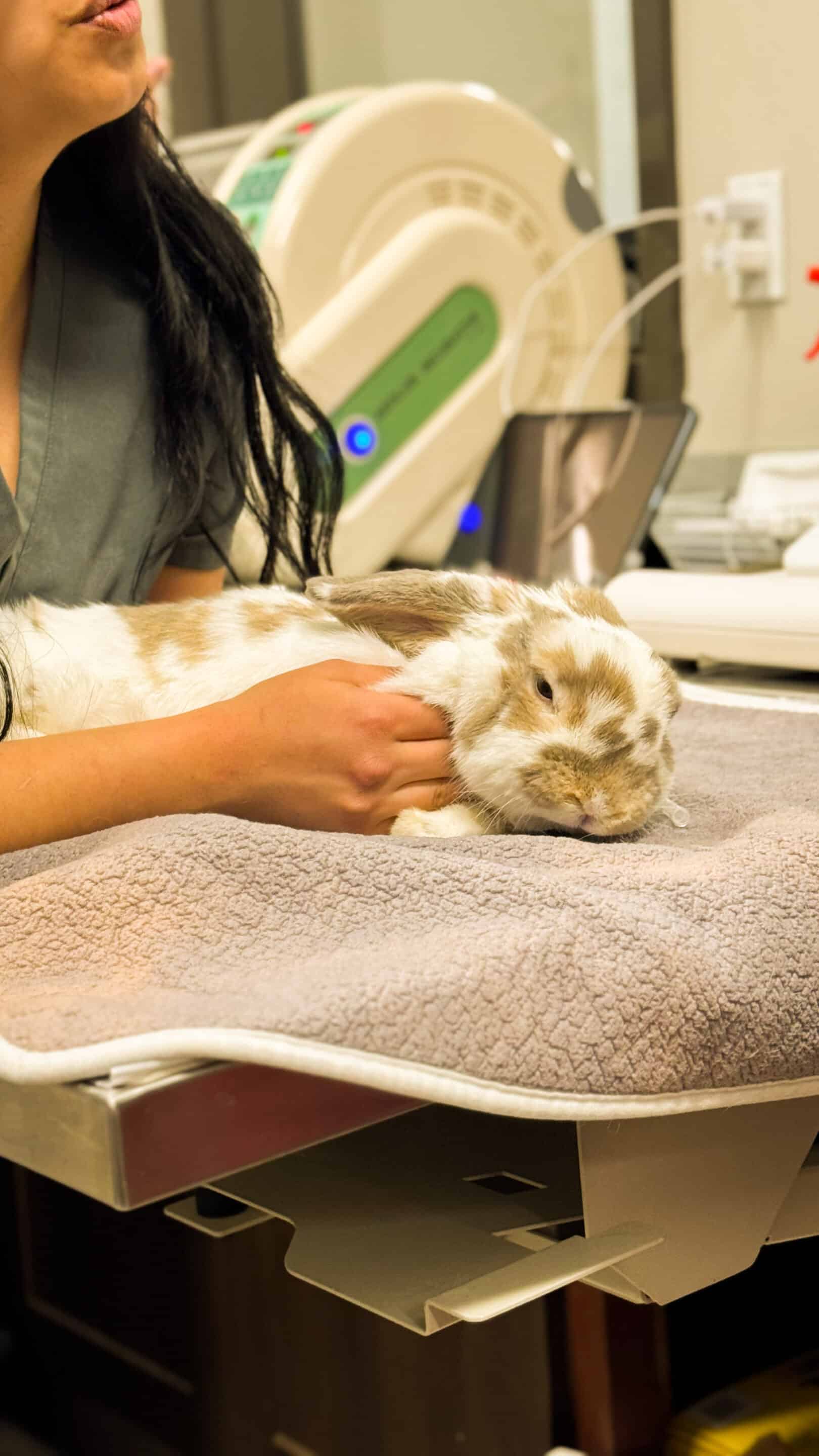 Laser Pain Management