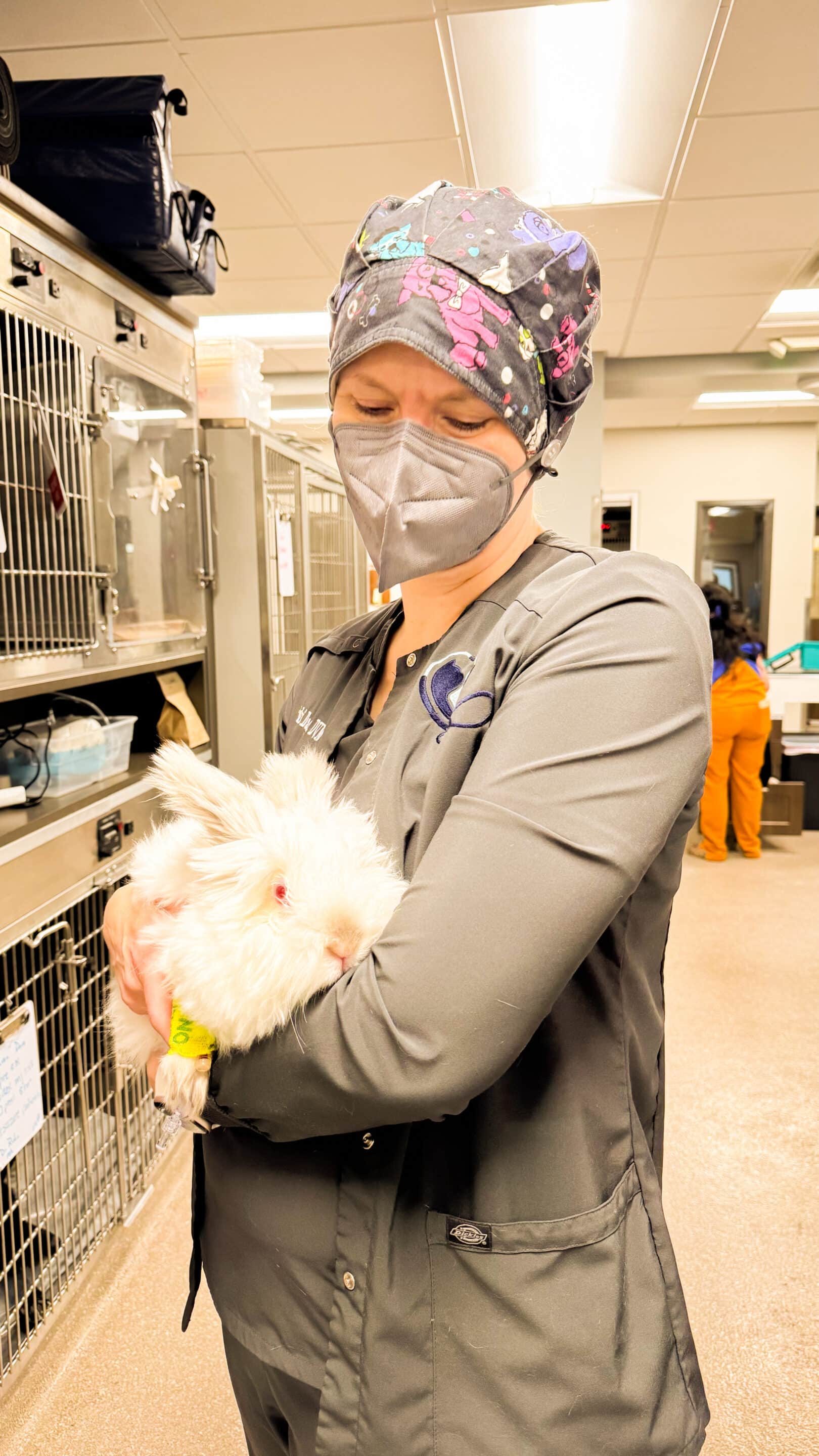 Fluoroscopy For Pets